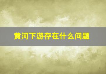 黄河下游存在什么问题