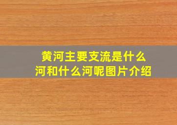 黄河主要支流是什么河和什么河呢图片介绍