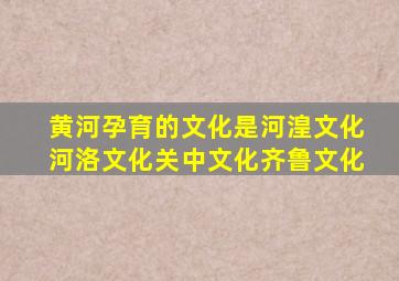 黄河孕育的文化是河湟文化河洛文化关中文化齐鲁文化