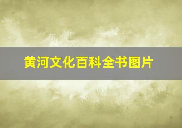 黄河文化百科全书图片