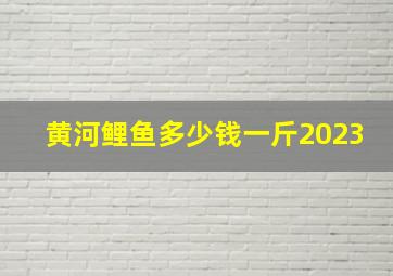 黄河鲤鱼多少钱一斤2023