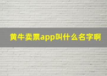 黄牛卖票app叫什么名字啊