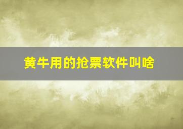 黄牛用的抢票软件叫啥