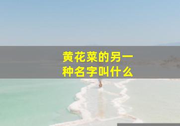 黄花菜的另一种名字叫什么