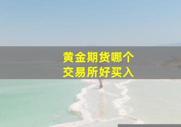 黄金期货哪个交易所好买入