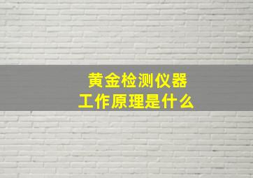 黄金检测仪器工作原理是什么