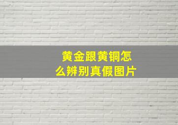 黄金跟黄铜怎么辨别真假图片