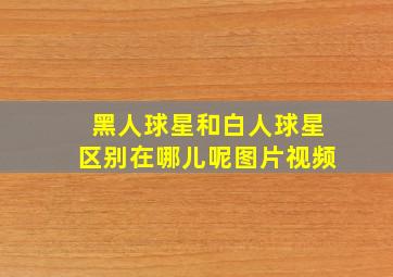 黑人球星和白人球星区别在哪儿呢图片视频