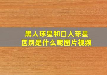 黑人球星和白人球星区别是什么呢图片视频