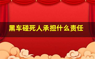 黑车碰死人承担什么责任