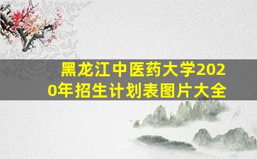 黑龙江中医药大学2020年招生计划表图片大全