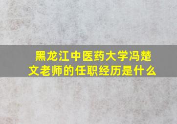 黑龙江中医药大学冯楚文老师的任职经历是什么