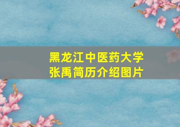 黑龙江中医药大学张禹简历介绍图片