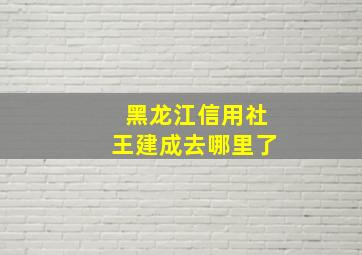 黑龙江信用社王建成去哪里了