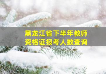 黑龙江省下半年教师资格证报考人数查询