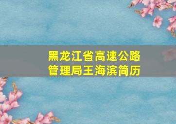 黑龙江省高速公路管理局王海滨简历