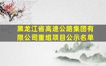 黑龙江省高速公路集团有限公司重组项目公示名单