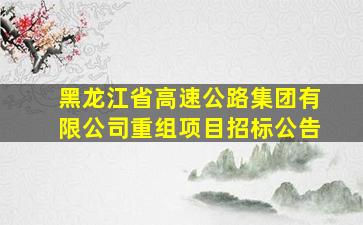 黑龙江省高速公路集团有限公司重组项目招标公告