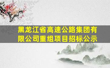 黑龙江省高速公路集团有限公司重组项目招标公示