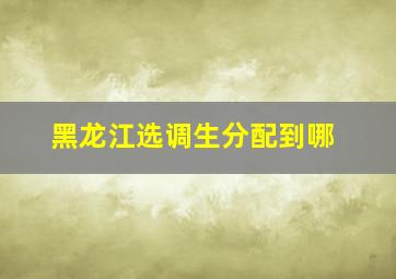 黑龙江选调生分配到哪