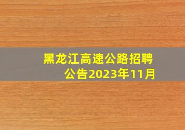 黑龙江高速公路招聘公告2023年11月