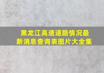 黑龙江高速道路情况最新消息查询表图片大全集