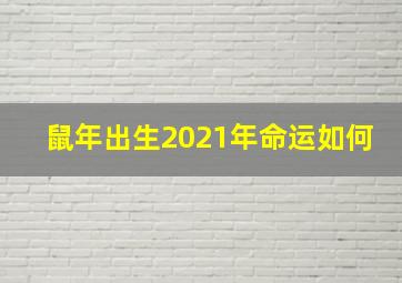 鼠年出生2021年命运如何