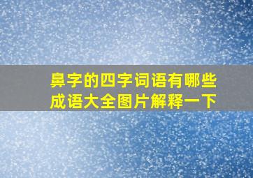 鼻字的四字词语有哪些成语大全图片解释一下