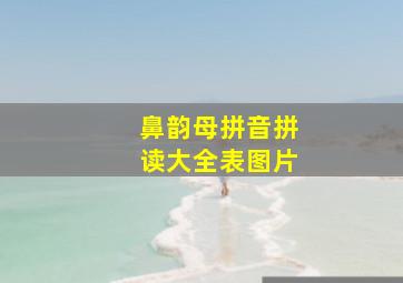 鼻韵母拼音拼读大全表图片