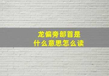 龙偏旁部首是什么意思怎么读