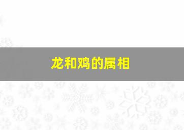 龙和鸡的属相