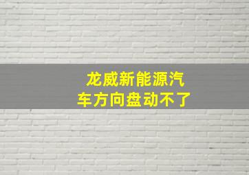 龙威新能源汽车方向盘动不了