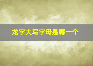 龙字大写字母是哪一个