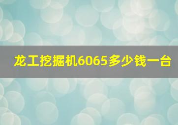 龙工挖掘机6065多少钱一台