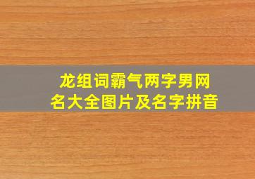 龙组词霸气两字男网名大全图片及名字拼音