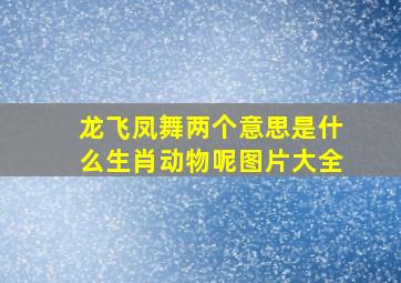 龙飞凤舞两个意思是什么生肖动物呢图片大全