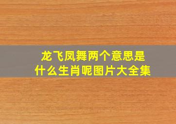 龙飞凤舞两个意思是什么生肖呢图片大全集