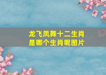 龙飞凤舞十二生肖是哪个生肖呢图片