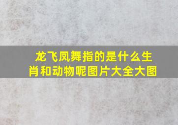 龙飞凤舞指的是什么生肖和动物呢图片大全大图