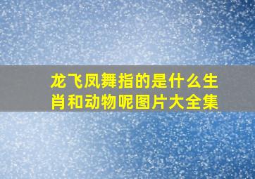 龙飞凤舞指的是什么生肖和动物呢图片大全集