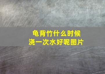 龟背竹什么时候浇一次水好呢图片