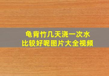 龟背竹几天浇一次水比较好呢图片大全视频