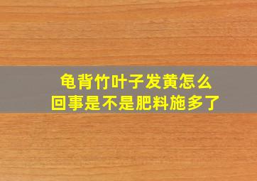 龟背竹叶子发黄怎么回事是不是肥料施多了