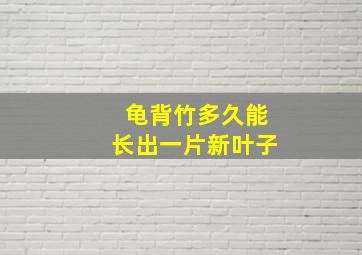 龟背竹多久能长出一片新叶子