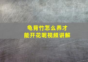 龟背竹怎么养才能开花呢视频讲解