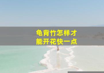 龟背竹怎样才能开花快一点