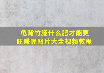 龟背竹施什么肥才能更旺盛呢图片大全视频教程