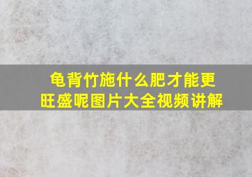 龟背竹施什么肥才能更旺盛呢图片大全视频讲解