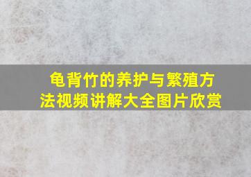 龟背竹的养护与繁殖方法视频讲解大全图片欣赏