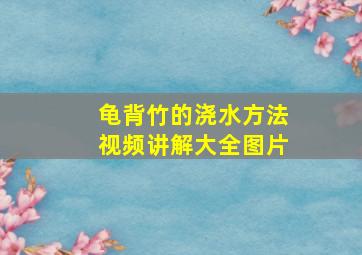 龟背竹的浇水方法视频讲解大全图片